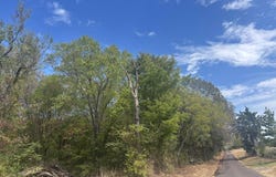 CR 2222, Pittsburg, TX 75686