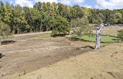 Morrilton, AR 72110