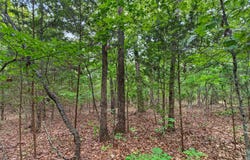 Alyeska Point Road, Lampe, MO 65681