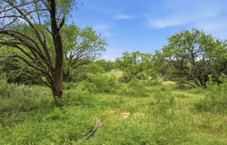 141+-Ac FM 880, Moran, TX 76464