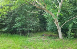 River Ridge Road, Columbia, SC 29210
