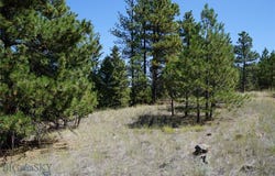Ridge Crest Lane, Cascade, MT 59421