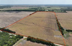 County Road 26850, Petty, TX 75470