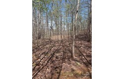 High Pines Loop, Lake Lure, NC 28746