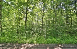 Meander Way, Garrison, MN 56450