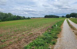 Witt Road, Franklin, KY 42134