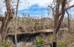 Lee, FL 32059