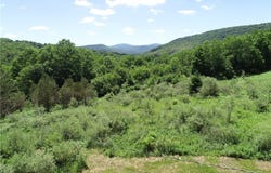 2636 Murphy Hill Road, Andes, NY 13731