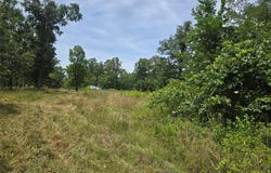 282 Ripley 142E-28A, Oxly, MO 63955