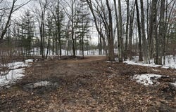 Steinberg Road, Wellston, MI 49689