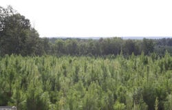 Balerma Church Road, Sparta, GA 31087