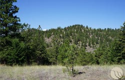 Ridge Crest Lane, MT 59421