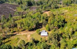 1005 COUNTY ROAD 204, HEFLIN, AL 36264