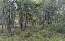 265 N Smith Road, Waymart, PA 18472