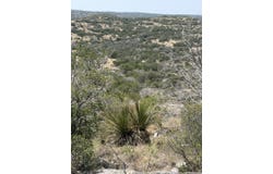 SD 45400, Rocksprings, TX 78880