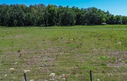 NE 758th St, Old Town, FL 32680