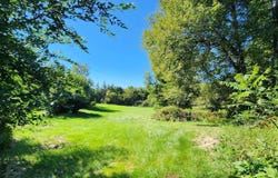 5888 W 800 N, Ligonier, IN 46767