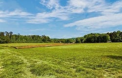 114 PALISADE Drive, Rydal, GA 30171