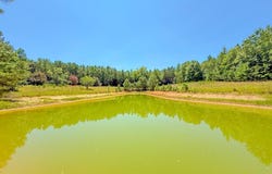 Flat Rock Road, Blackstone, VA 23824
