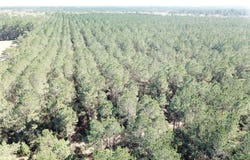 Corrigan Road, Vidor, TX 77662