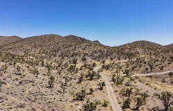 319-06-002B 20th street, Dolan Springs, AZ 86441