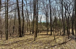 13 Rock Lane, Chetek, WI 54728