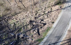 Lola Dr, Smithville, TN 37166