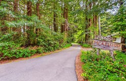 1120 Patricks Pt Drive, Trinidad, CA 95570