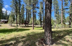 375 Eureka Springs Drive, Blairsden, CA 96103