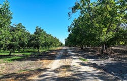 13510 Elder Avenue, Hanford, CA 93230