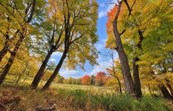 Old Farm Road, Burke, VT 05871
