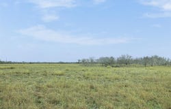 FM 86 lot: 1, Luling, TX 78648