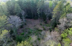 5873 W Maple Street, Wolverine, MI 49799
