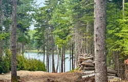 93 Goods Point Road, Steuben, ME 04680