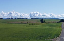 Basket Rd Parcel 2, Nezperce, ID 83543