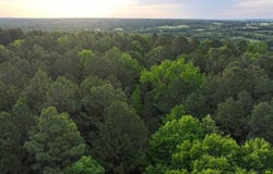Jason Lane, Greenbrier, AR 72058