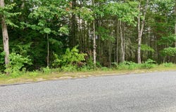 Edes Falls Road, Harrison, ME 04040