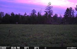 4433 Samuel Lane, Gloster, MS 39638