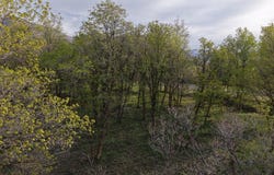930 S MAPLE RAVINE Cir, Woodland Hills, UT 84653