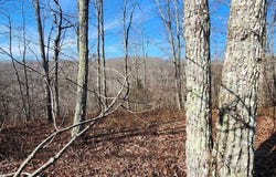 id 14 OVERLOOK DR, HOLLADAY, TN 38341