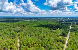 15515 SW 25th Place, Ocala, FL 34481