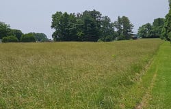 Main St, Dillwyn, VA 23936