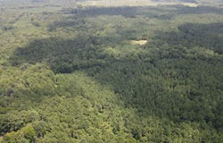 Ms-28, Pattison, MS 39144