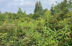 L14.411 01 Ennis Road, Schenectady, NY 12306