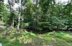 Stonehenge Road, Charleston, WV 25314