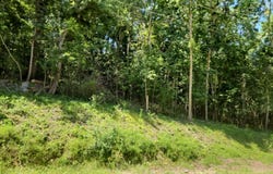 Cedar Beach Drive NW, Oronoco, MN 55960