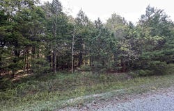 001 Hand Cove Road, Elizabeth, AR 72531