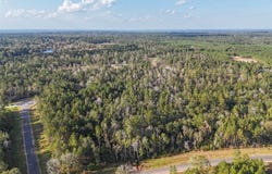 11615 Dawn Tree Lane, Willis, TX 77378