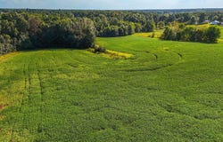 County Road 2695, Clark, MO 65243
