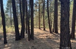 Green Forest Dr, Chiloquin, OR 97624
